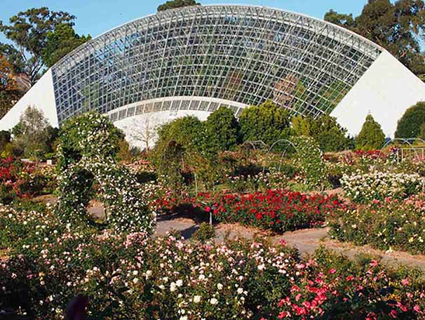 Adelaide Botanical Gardens