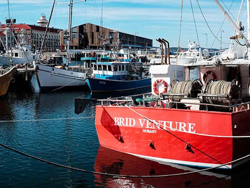 Pinot & Picasso at the Hobart Waterfront
