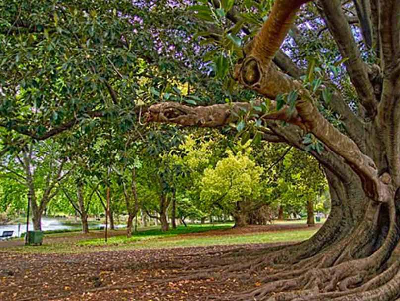 Hyde Park