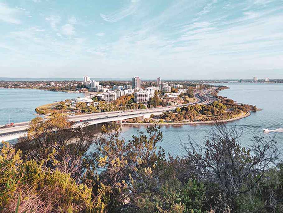Kings Park & Botanic Garden in Perth with Pinot & Picasso.