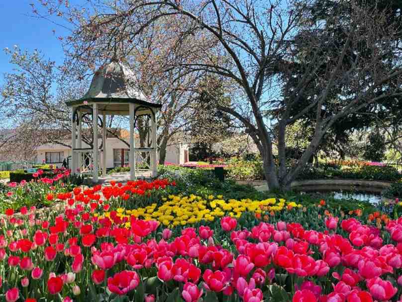 Corbett Gardens