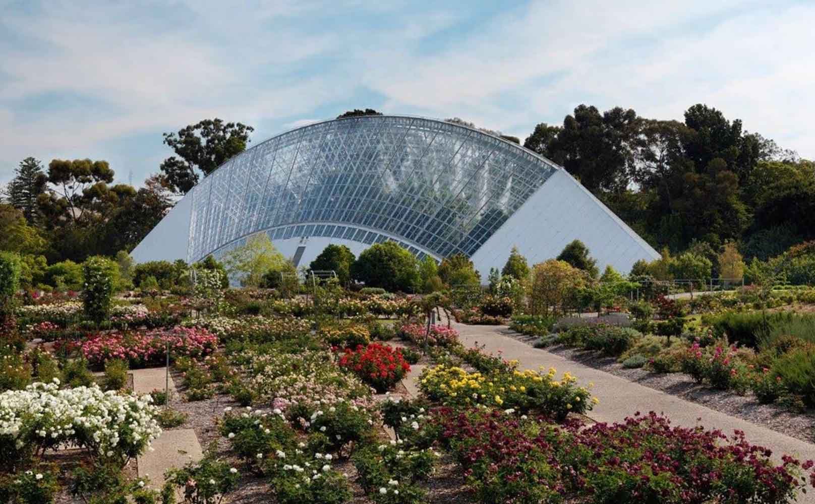 The Best 35 Things To Do In Adelaide With Some Untapped Gems!