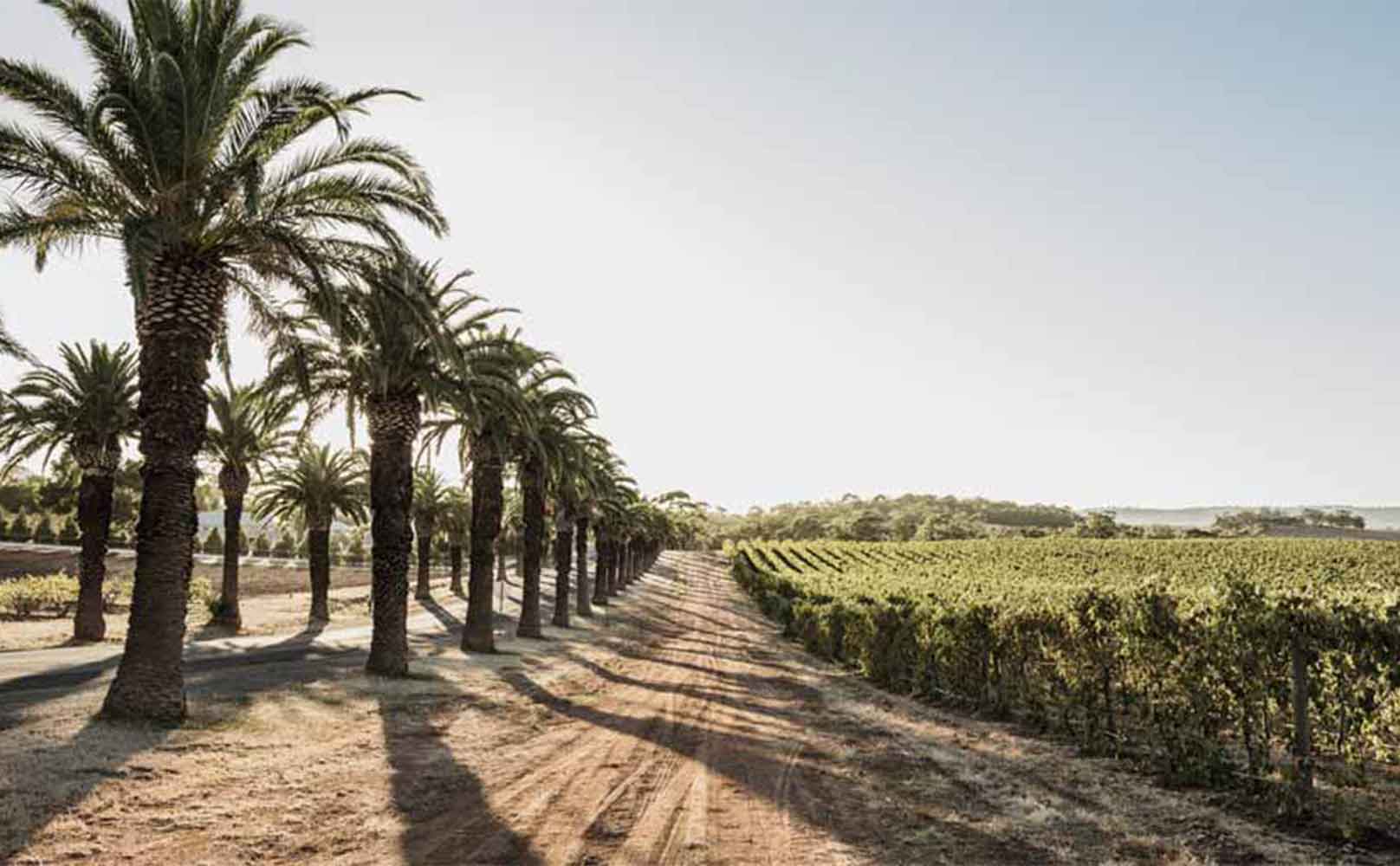 The Best 35 Things To Do In Adelaide With Some Untapped Gems!