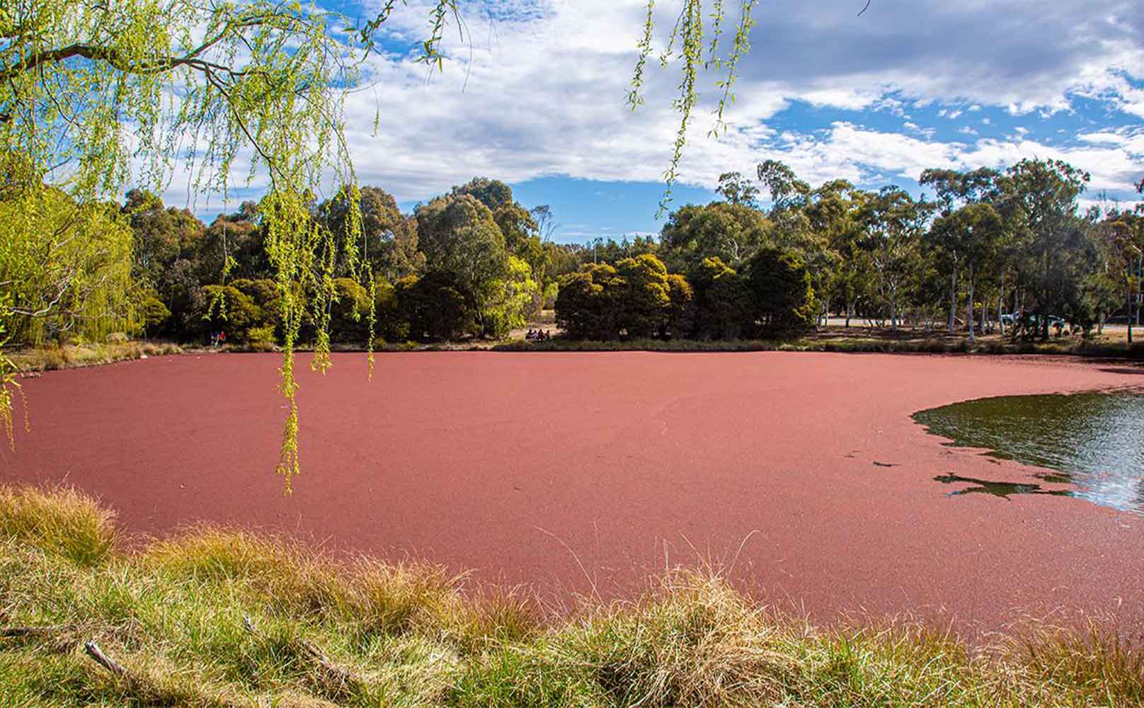 Best 23 Things To Do In Canberra [That Won't Break The Bank]