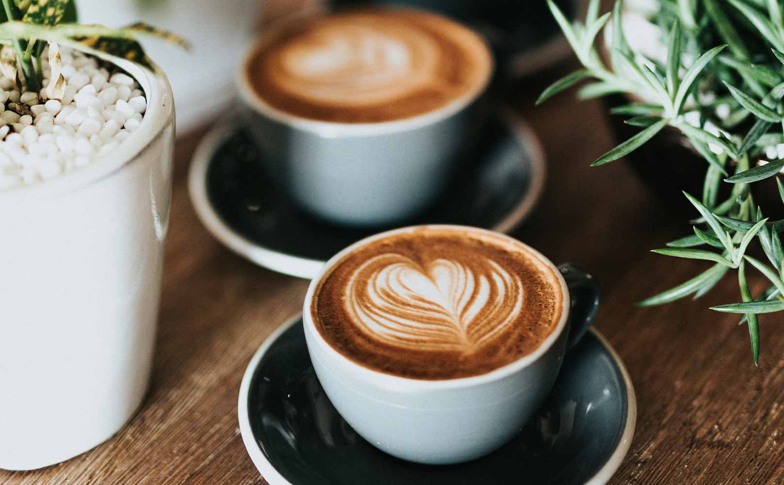 Best 23 Things To Do In Canberra [That Won't Break The Bank]