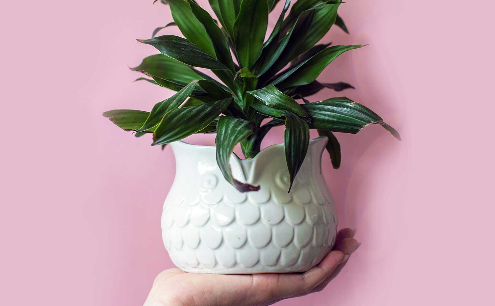 27 Sustainable Secret Santa Ideas For Your Workplace Or Family Gathering
