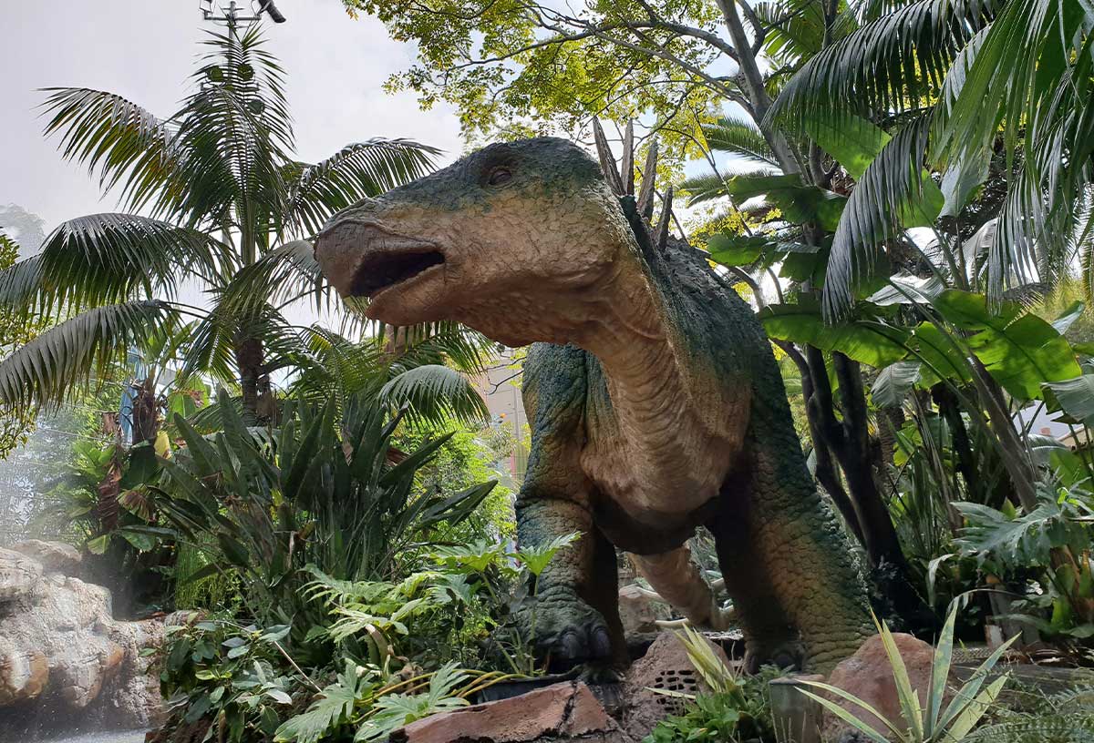 Go to the Dinosaur Museum